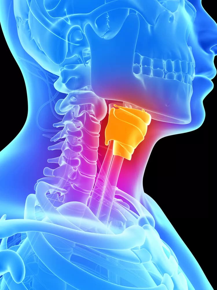 Facts about Retropharyngeal Abscess