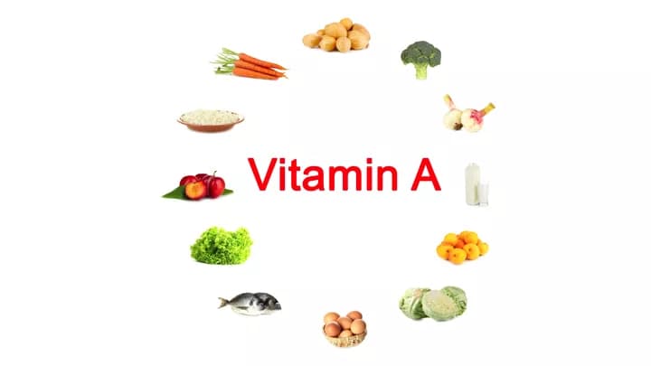 Protein Regulates Vitamin A Metabolic Pathways, Prevents Inflammation