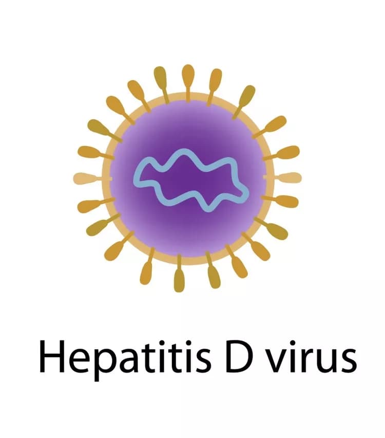 How well do you know Hepatitis D Infection