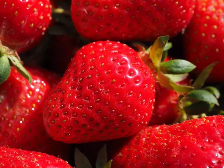 7 Reasons You Should Eat More Strawberries