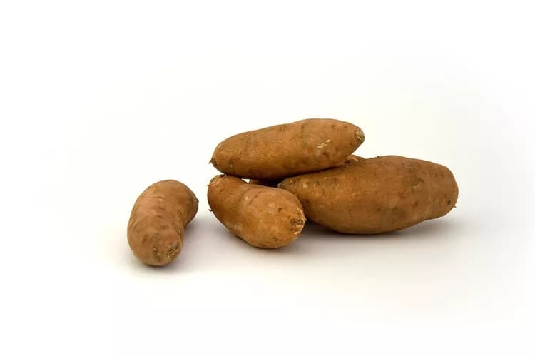 7 Reasons Why Sweet Potatoes Need To Be Added To The Diet