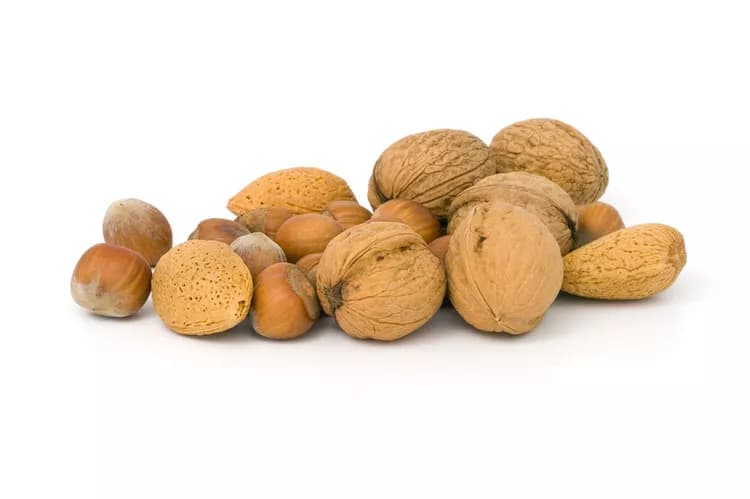 7 Health Benefits Of Hazelnuts