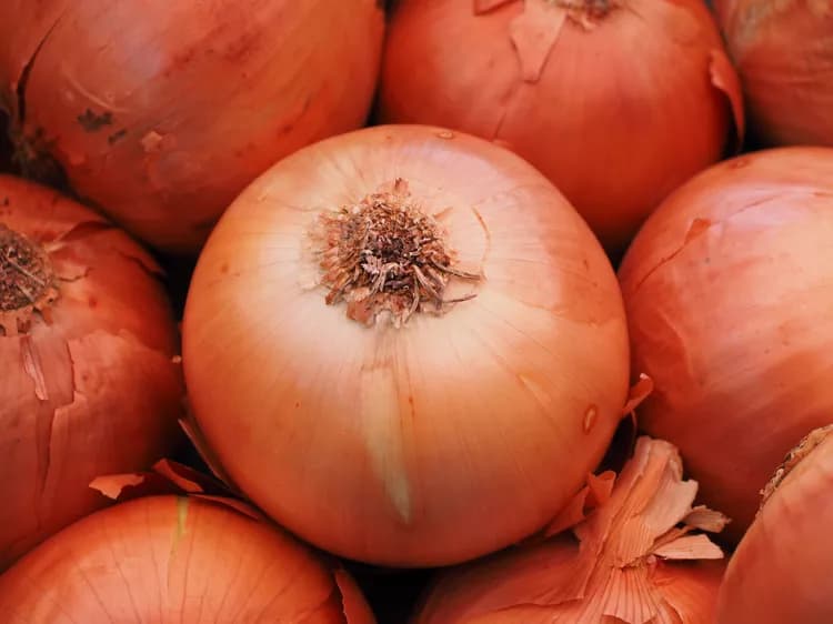 7 Amazing Health Benefits Of Onions