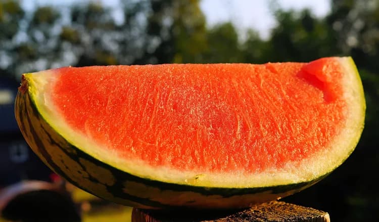7 Health Benefits Of Watermelon