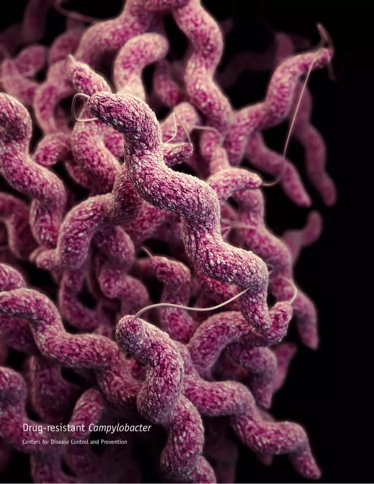 CDC