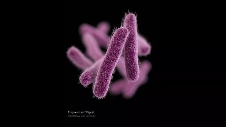 CDC - Medical Illustrator