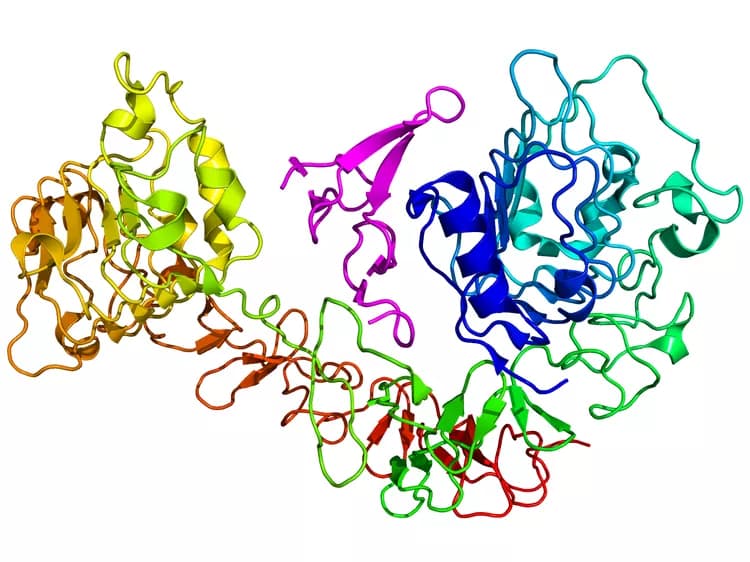 Epidermal Growth Factor Receptor (HER1) Test