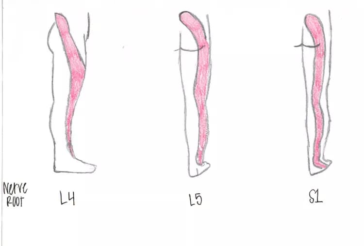 By ardeushane (Own work) [CC BY-SA 3.0 (http://creativecommons.org/licenses/by-sa/3.0)], via Wikimedia Commons