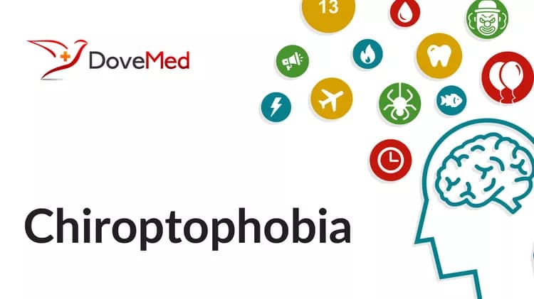 What is Chiroptophobia?