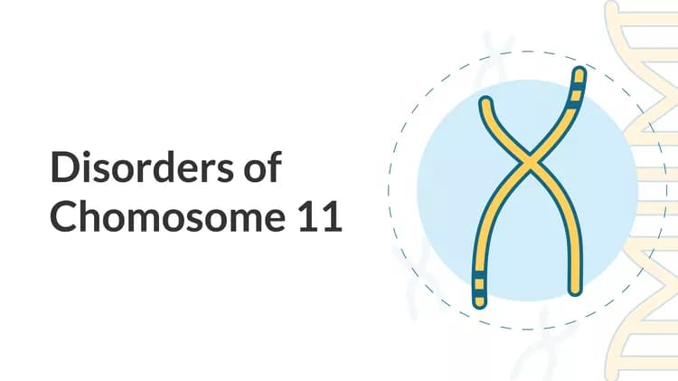 Disorders of Chromosome 11