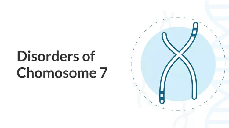 Disorders of Chromosome 7