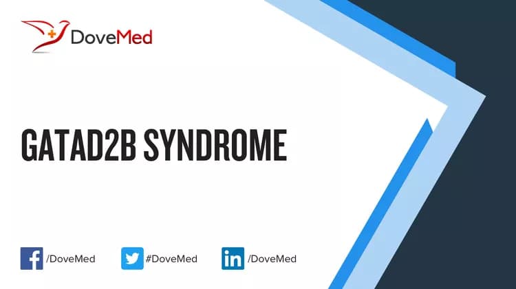 GATAD2B Syndrome