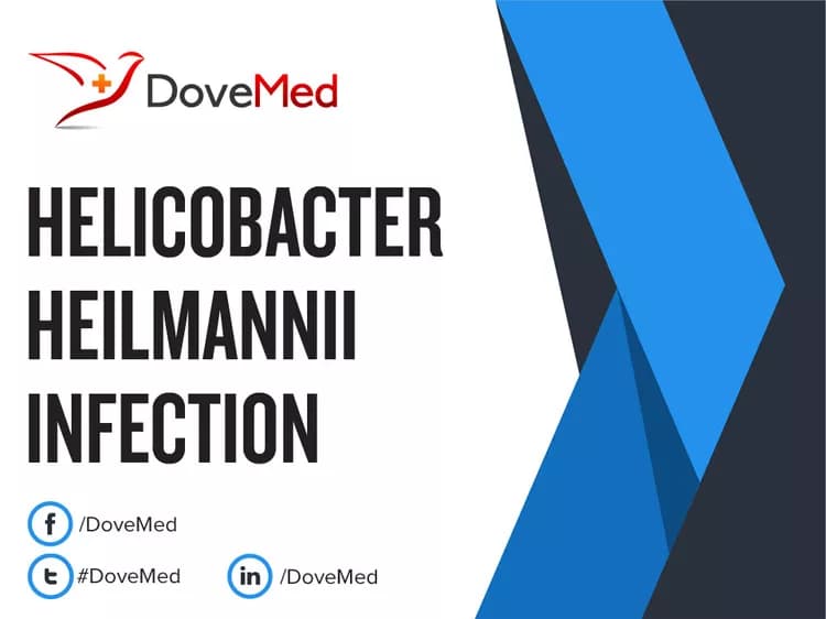 Helicobacter Heilmannii Infection
