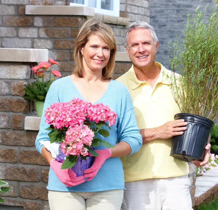Sodium Citrate Spray Could Temporarily Restore Sense Of Smell