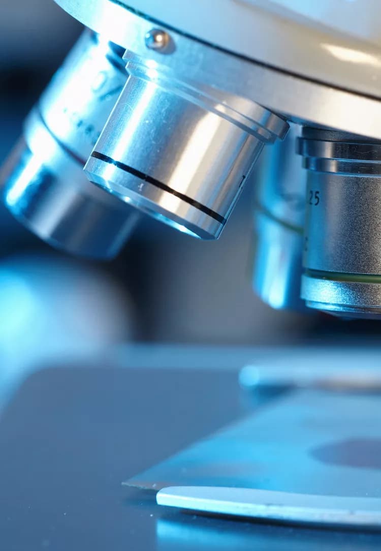Prothrombin Blood Test
