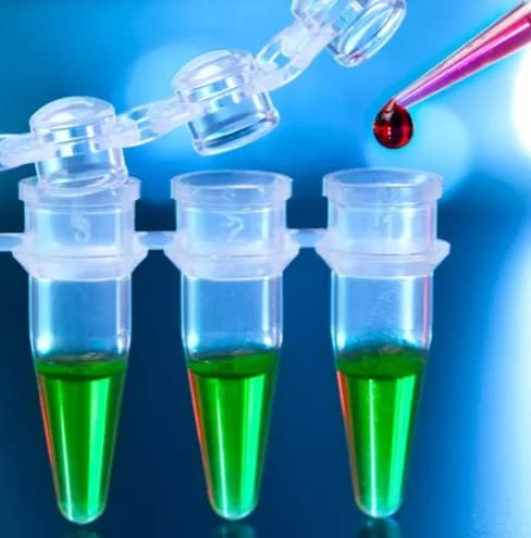 Trace Minerals Urine Test