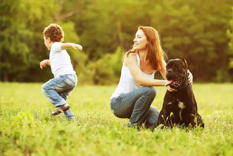 Light Exposure And Kids' Weight: Is There A Link?