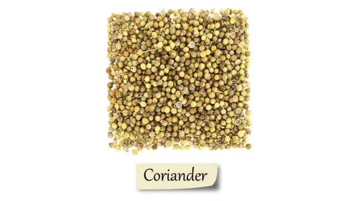 7 Health Benefits Of Coriander