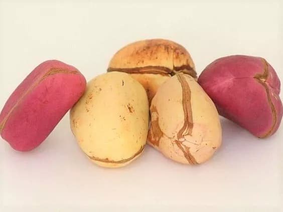 Azekhoria Benjamin