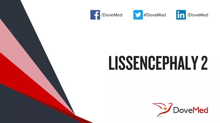 Lissencephaly 2