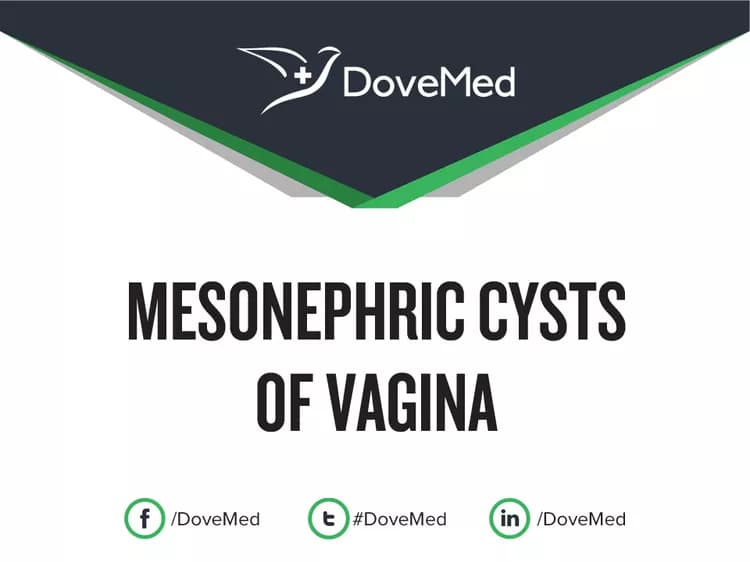 Mesonephric Cysts of Vagina