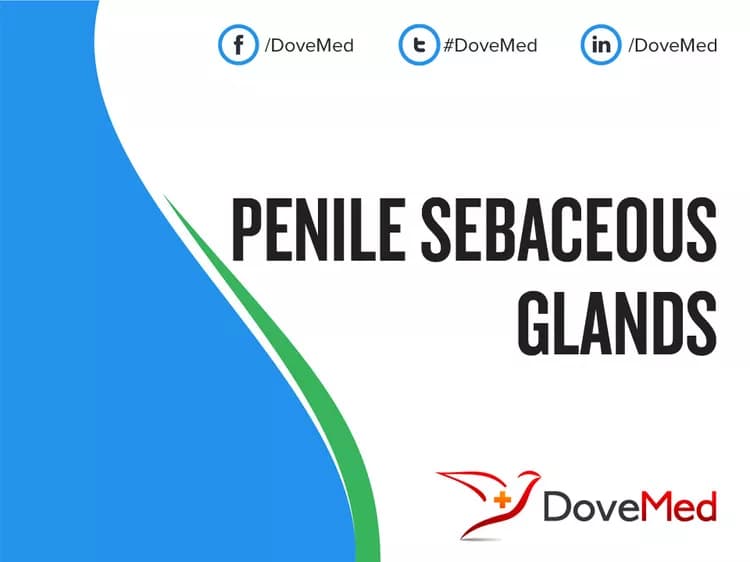 Penile Sebaceous Glands