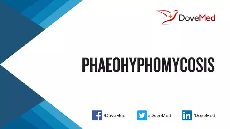 Phaeohyphomycosis
