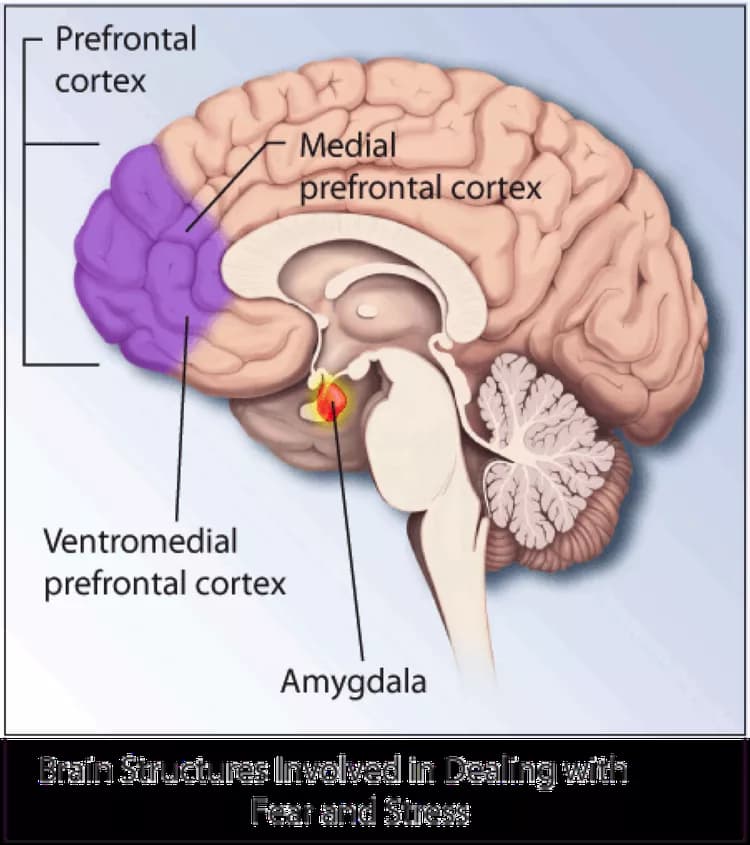 How well do you know Post-Traumatic Stress Disorder?