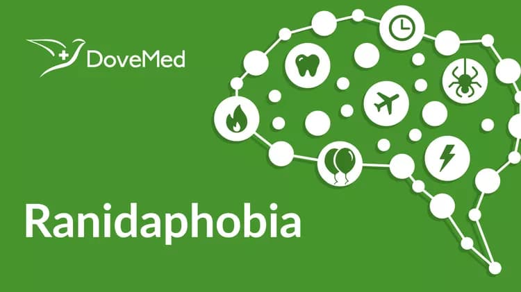 What is Ranidaphobia?