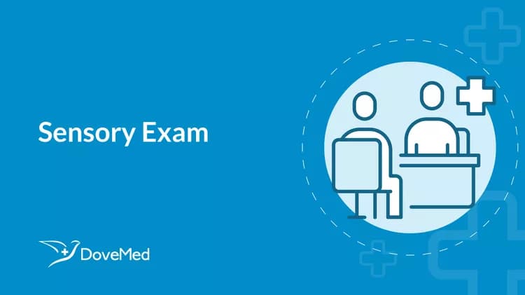 Sensory Exam