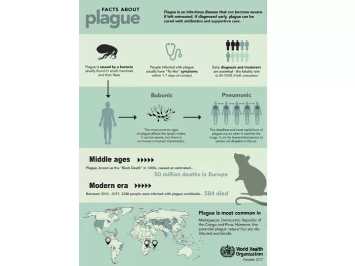 WHO Scales Up Response To Plague In Madagascar