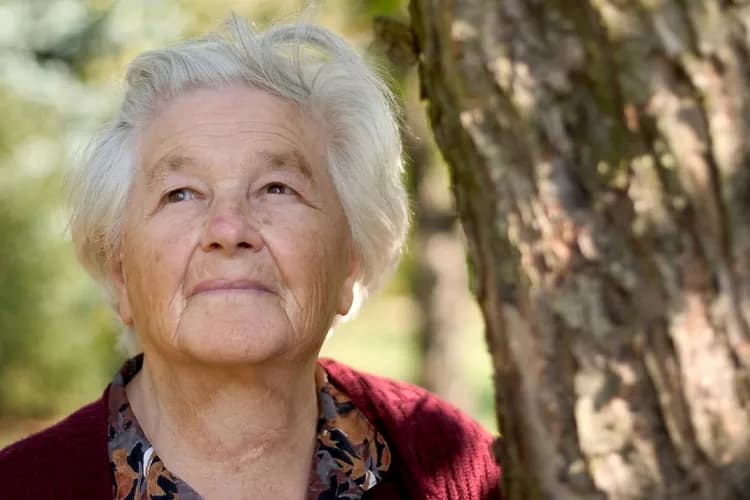 Healing Function Of Sweat Glands Declines With Age