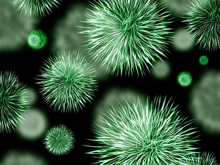 Antibiotics May Reduce The Ability Of Immune Cells To Kill Bacteria