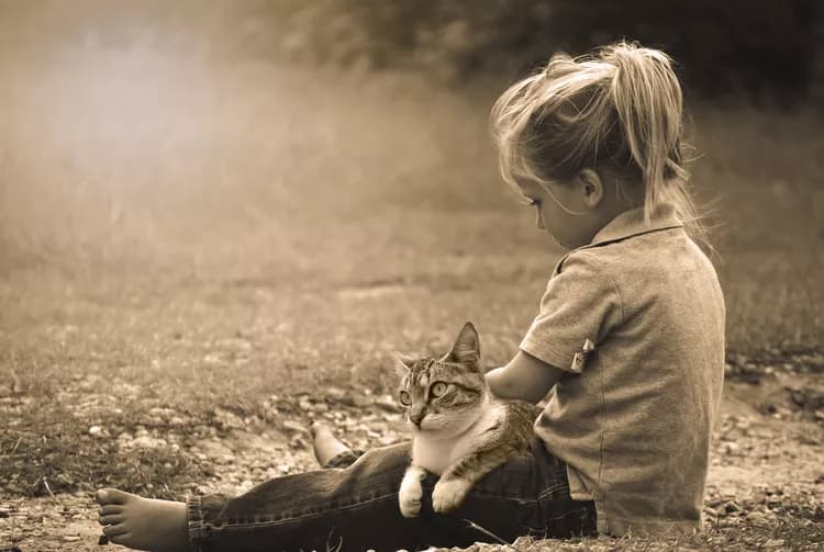 Risks Of Harm From Spanking Confirmed By Analysis Of 5 Decades Of Research