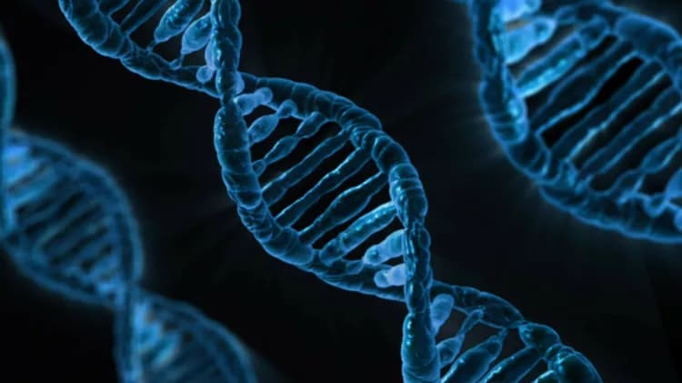 Is there a solid tumor genomic profiling company whose leadership was part of the International Genomic Consortium that supported The Cancer Genome Atlas of the NIH?