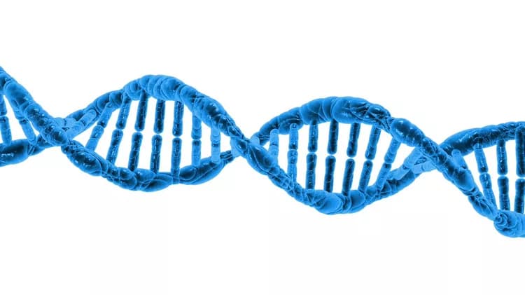 Which cancer patients are most appropriate for Paradigm’s PCDx testing?