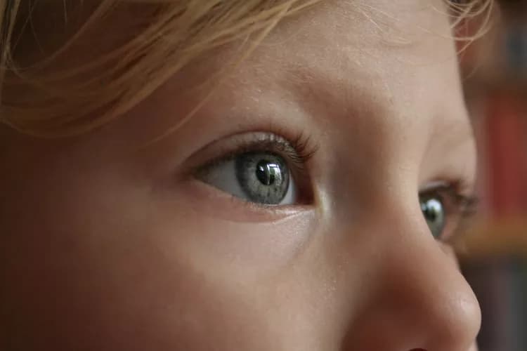 Child Abuse Affects Brain Wiring