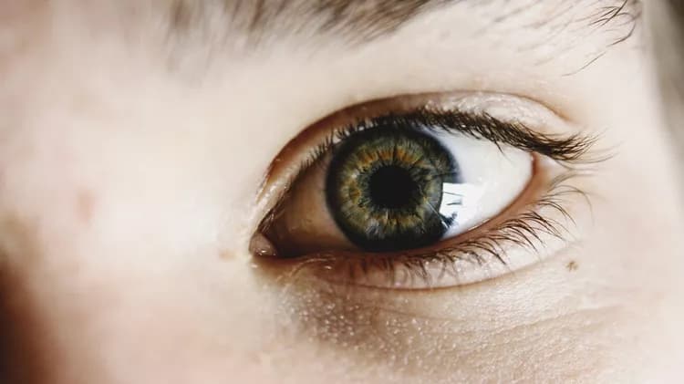 Vision Loss And Retinal Changes In Stargardt Disease