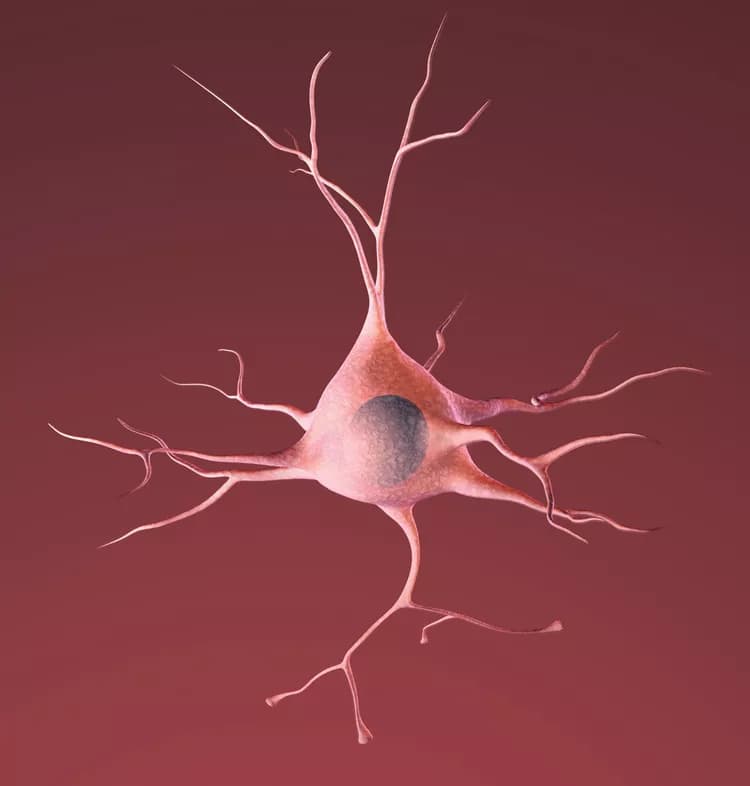 Roadmap For Biomarker Research On Alzheimer's Disease Should Lead To Better Results