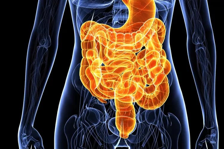 Digital Microbes For Munching Yourself Healthy