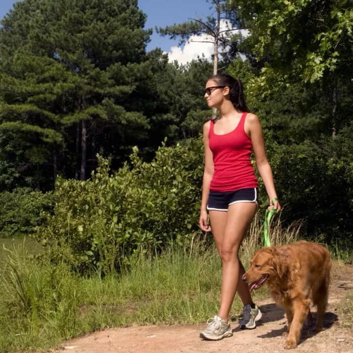Is Your Dog's Aggression And Behavior Affecting Your Health?