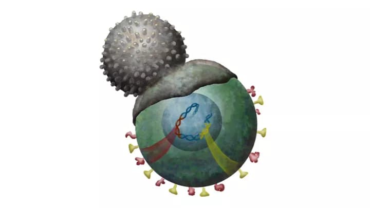 Fighting Cancer with Our Own Immune Systems