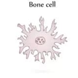 New Treatment For Osteoporosis Provides Better Protection Against Fractures