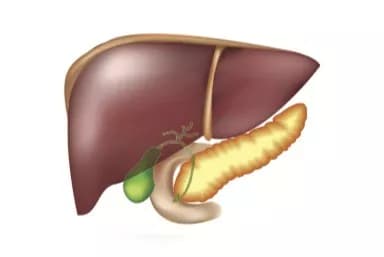 Potential Treatment Approach For Glycogen Storage Disease