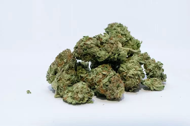 Marijuana Intoxication