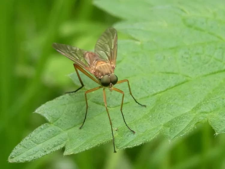Study Provides Details Of Possible Link Between Zika, Severe Joint Condition At Birth