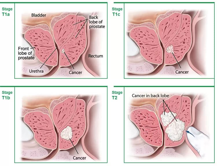 NIH Medical Arts
