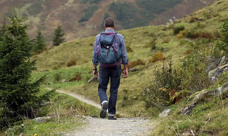 What Are Some Effective, Yet Lazy Ways To Lose Weight?