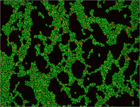 Wyss Institute at Harvard University