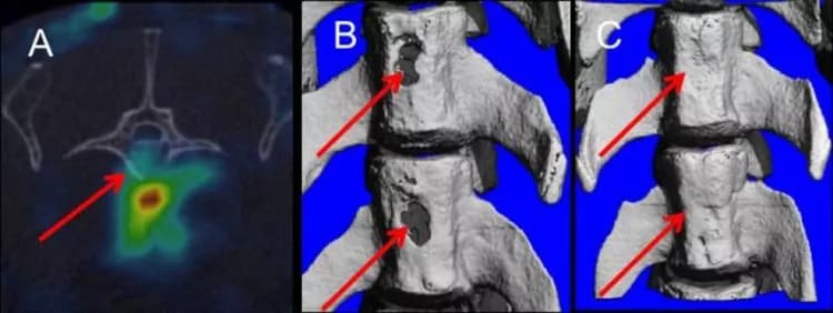 Cedars-Sinai Board of Governors Regenerative Medicine Institute